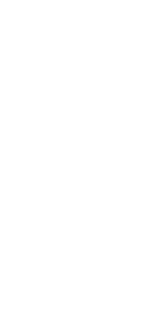 UNDP